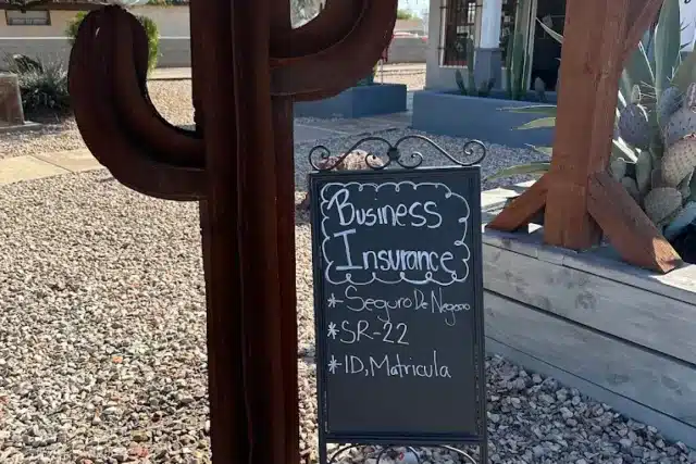 Cactus State Insurance